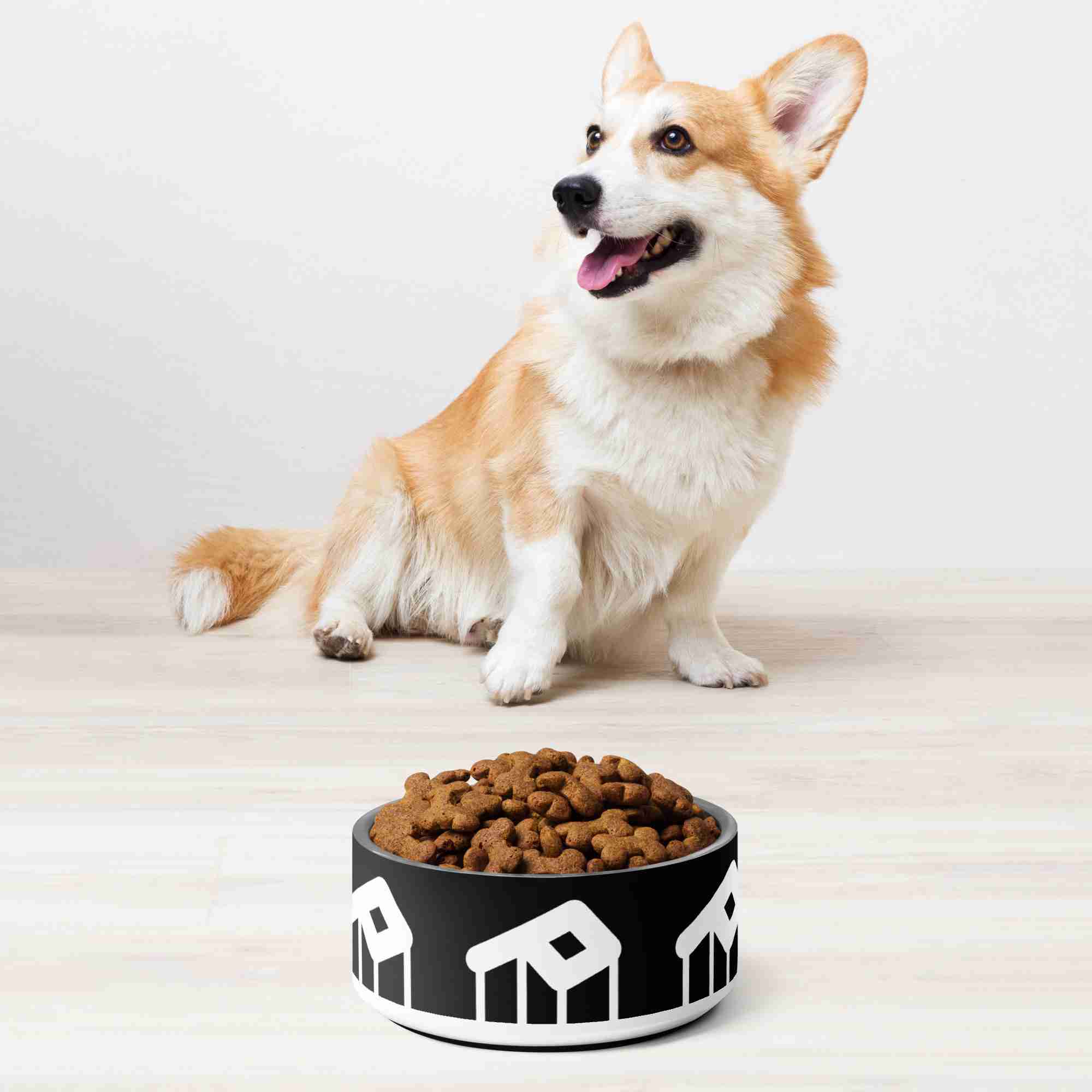 Puppedy™ Pet bowl